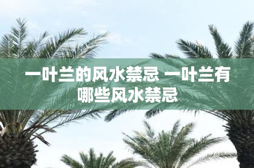 一叶兰的风水禁忌 一叶兰有哪些风水禁忌