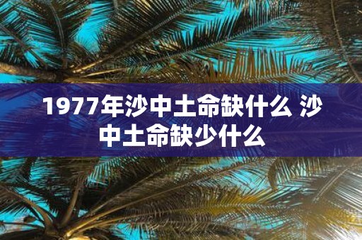 1977年沙中土命缺什么 沙中土命缺少什么