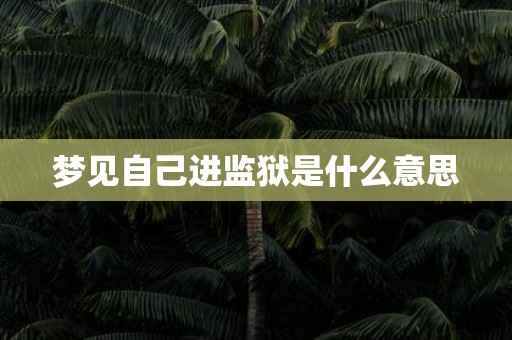 梦见自己进监狱是什么意思