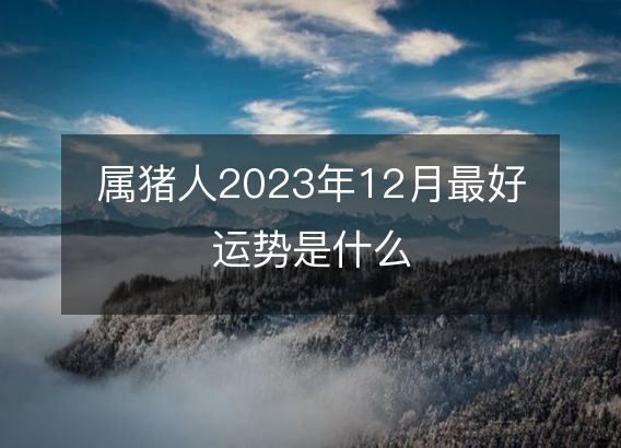 属猪人2023年12月最好运势是什么