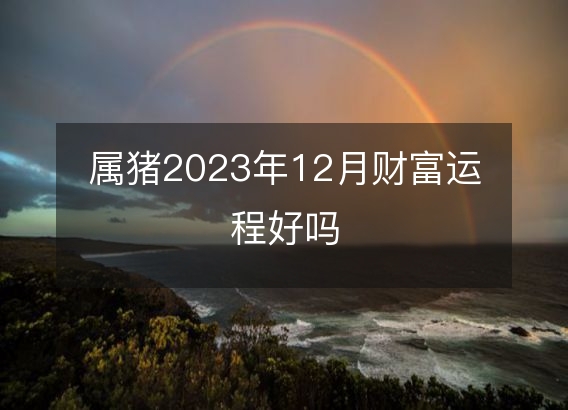 属猪2023年12月财富运程好吗