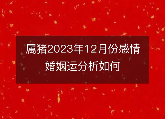 属猪2023年12月份感情婚姻运分析如何