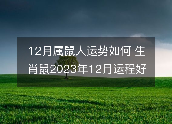 12月属鼠人运势如何 生肖鼠2023年12月运程好吗