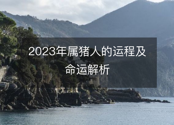 2023年属猪人的运程及命运解析