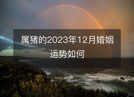 属猪的2023年12月婚姻运势如何