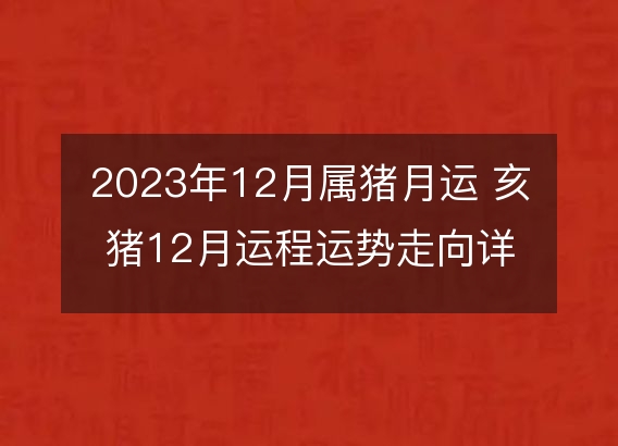 2023年12月属猪月运 亥猪12月运程运势走向详解