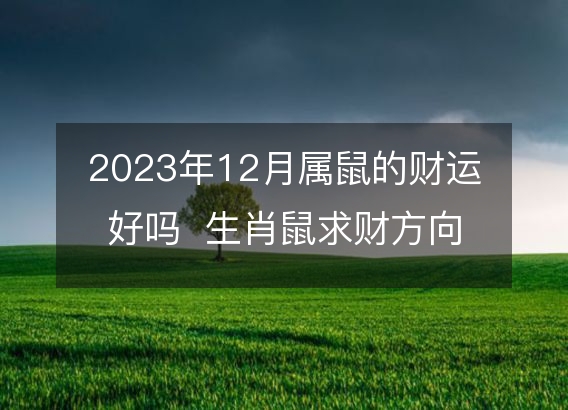 2023年12月属鼠的财运好吗  生肖鼠求财方向