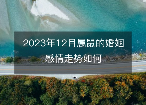 2023年12月属鼠的婚姻感情走势如何