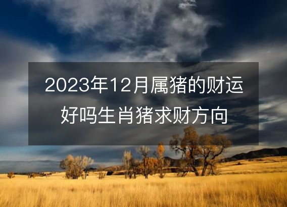 2023年12月属猪的财运好吗生肖猪求财方向