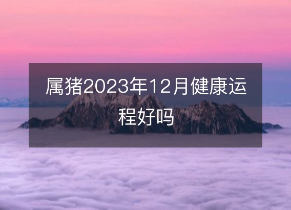 属猪2023年12月健康运程好吗