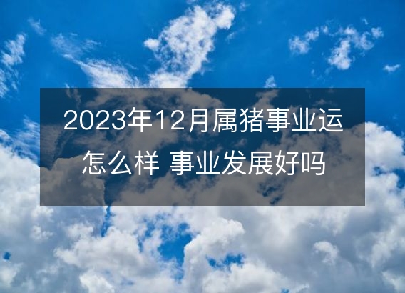 2023年12月属猪事业运怎么样 事业发展好吗