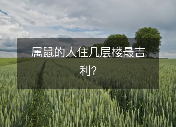 属鼠的人住几层楼最吉利？