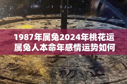 1987年属兔2024年桃花运 属兔人本命年感情运势如何