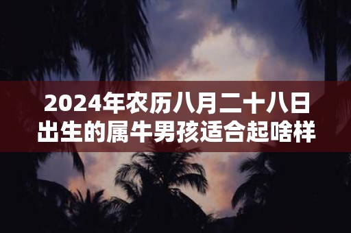 2024年农历八月二十八日出生的属牛男孩适合起啥样的名字