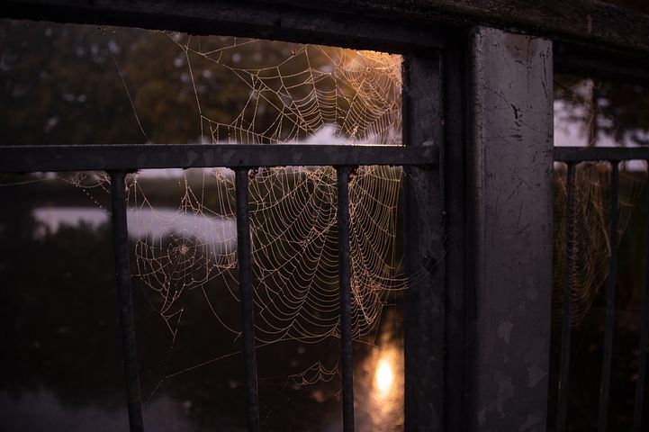 暴风雨来临