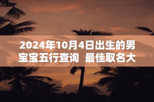 2024年10月4日出生的男宝宝五行查询  最佳取名大全