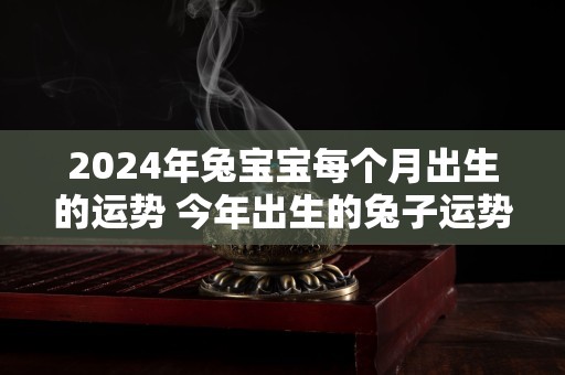 2024年兔宝宝每个月出生的运势 今年出生的兔子运势怎么样