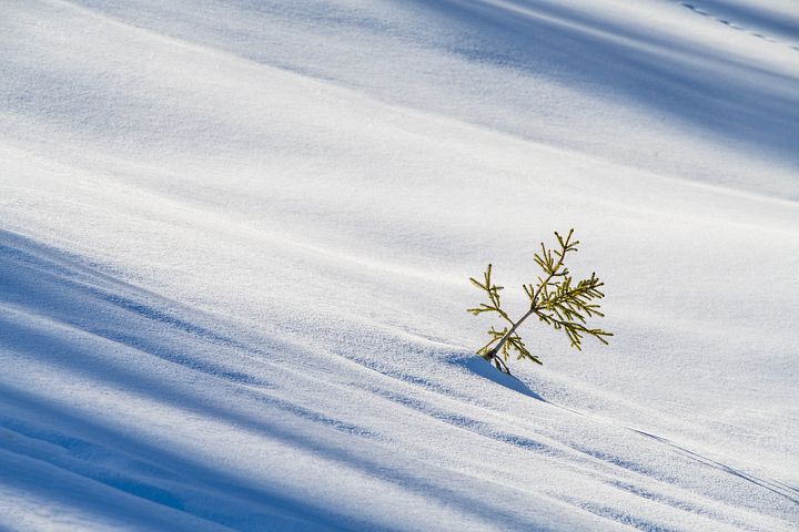 厨房失火