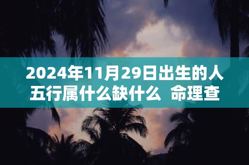 2024年11月29日出生的人五行属什么缺什么  命理查询