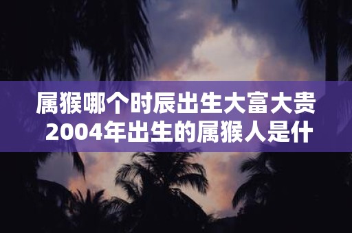 属猴哪个时辰出生大富大贵 2004年出生的属猴人是什么命