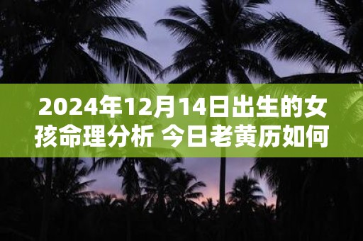 2024年12月14日出生的女孩命理分析 今日老黄历如何