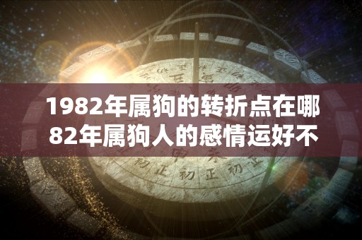 1982年属狗的转折点在哪 82年属狗人的感情运好不好