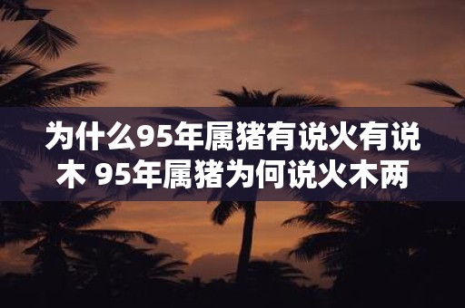 为什么95年属猪有说火有说木 95年属猪为何说火木两说皆有