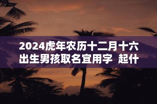 2024虎年农历十二月十六出生男孩取名宜用字  起什么名字好