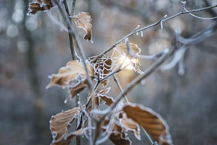 暴风雪