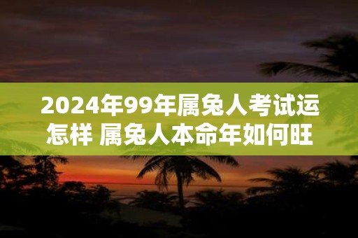 2024年99年属兔人考试运怎样 属兔人本命年如何旺学业