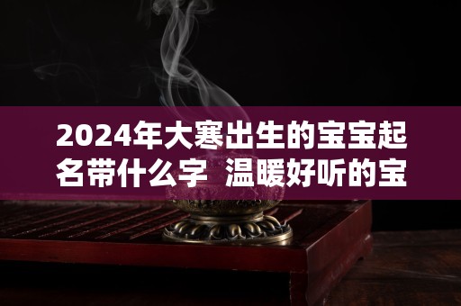 2024年大寒出生的宝宝起名带什么字  温暖好听的宝宝名字