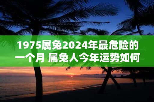 1975属兔2024年最危险的一个月 属兔人今年运势如何