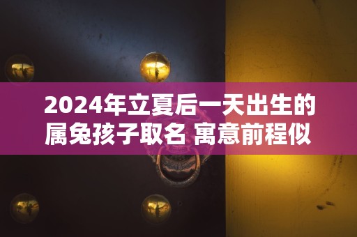 2024年立夏后一天出生的属兔孩子取名 寓意前程似锦的名字