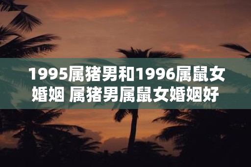 1995属猪男和1996属鼠女婚姻 属猪男属鼠女婚姻好不好