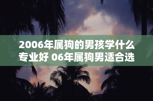 2006年属狗的男孩学什么专业好 06年属狗男适合选的专业