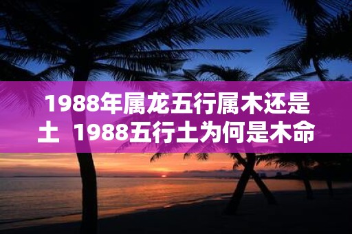 1988年属龙五行属木还是土  1988五行土为何是木命