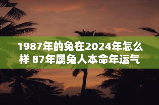 1987年的兔在2024年怎么样 87年属兔人本命年运气