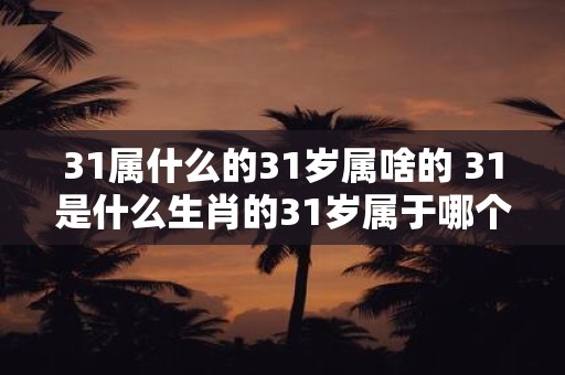 31属什么的31岁属啥的 31是什么生肖的31岁属于哪个星座