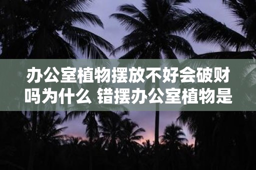 办公室植物摆放不好会破财吗为什么 错摆办公室植物是否破财