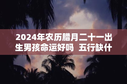 2024年农历腊月二十一出生男孩命运好吗  五行缺什么