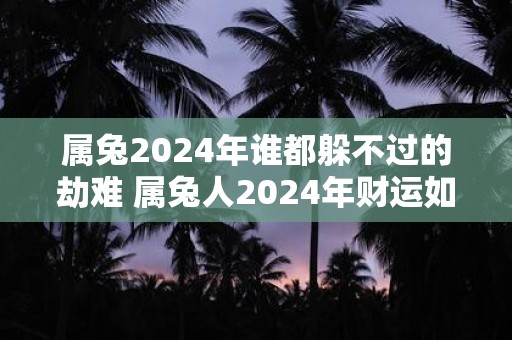 属兔2024年谁都躲不过的劫难 属兔人2024年财运如何