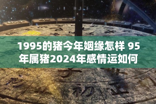 1995的猪今年姻缘怎样 95年属猪2024年感情运如何