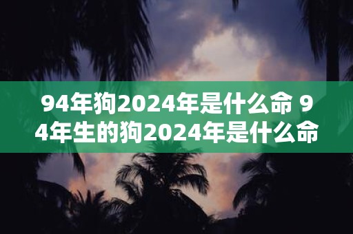 94年狗2024年是什么命 94年生的狗2024年是什么命