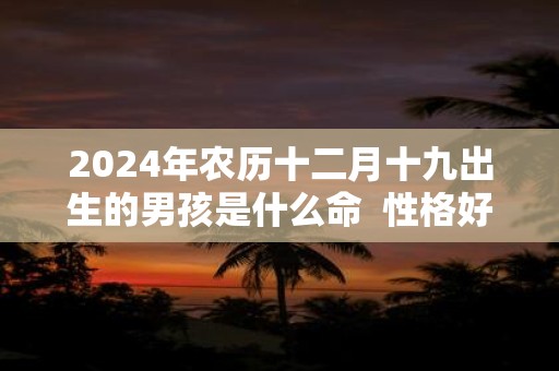 2024年农历十二月十九出生的男孩是什么命  性格好不好