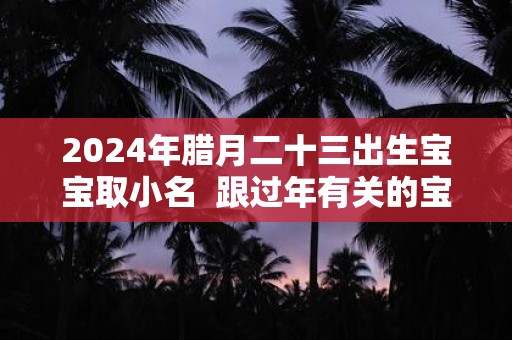 2024年腊月二十三出生宝宝取小名  跟过年有关的宝宝小名