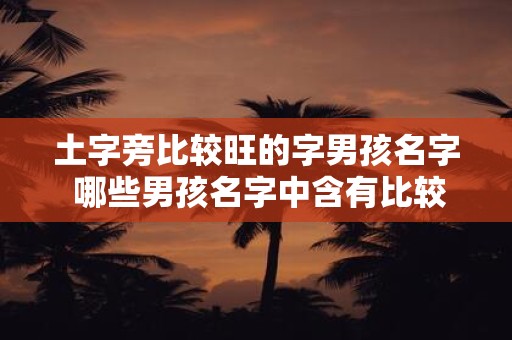 土字旁比较旺的字男孩名字 哪些男孩名字中含有比较旺的土字旁