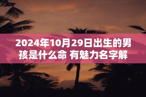 2024年10月29日出生的男孩是什么命 有魅力名字解析