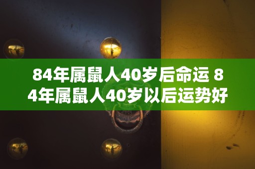 84年属鼠人40岁后命运 84年属鼠人40岁以后运势好吗