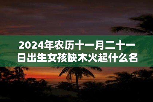 2024年农历十一月二十一日出生女孩缺木火起什么名字