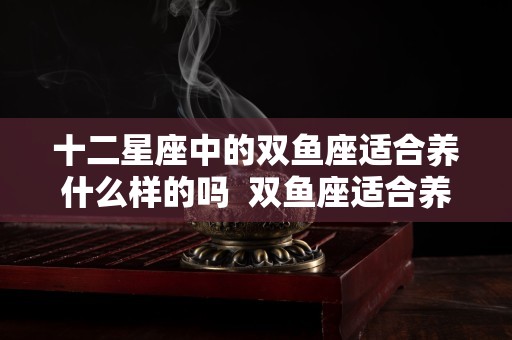 十二星座中的双鱼座适合养什么样的吗  双鱼座适合养什么宠物